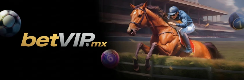 betvipcasino